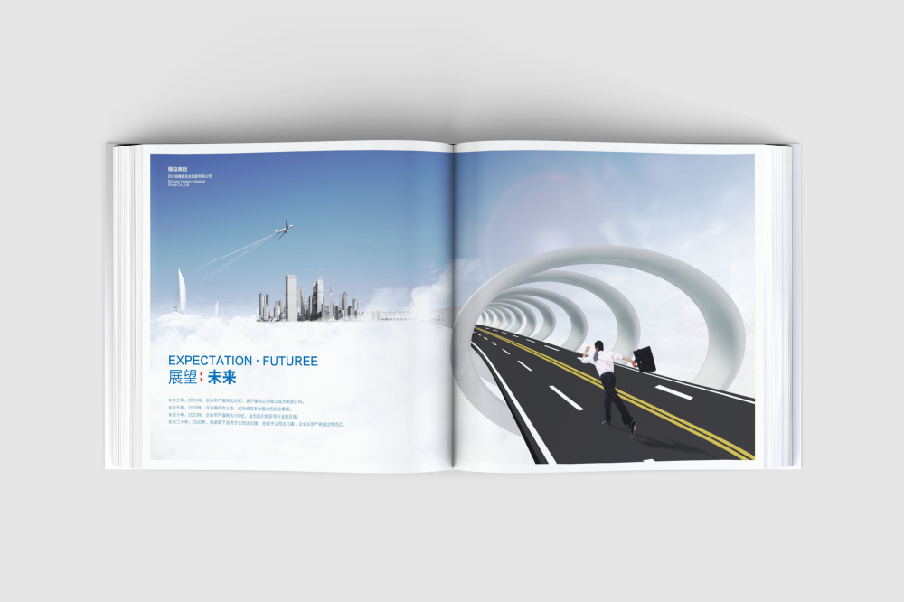 芦淞区画册设计