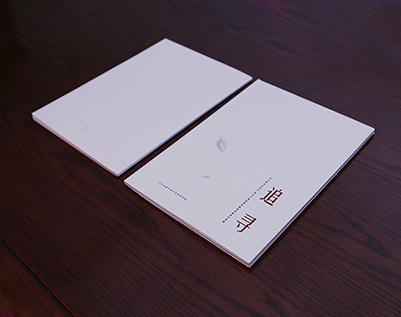 芦淞区画册设计公司：以创新驱动，引领城市设计的新潮流