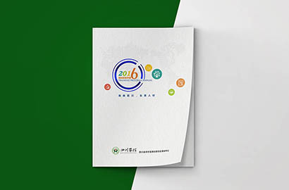 芦淞区画册设计：以场景为媒，打造城市体验的全新入口