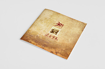 芦淞区宣传册设计：政企单位形象传播的精准破局策略